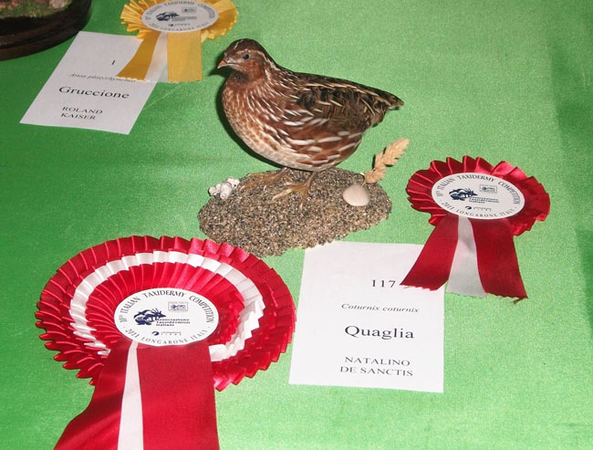 2011-quaglia